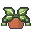 しおれた鉢